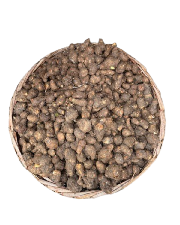 Coco Yam