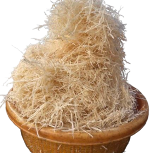 Abacha