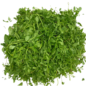 Water Leaves