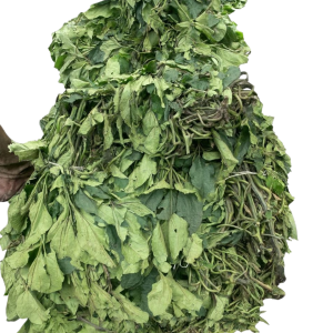 Ugwu (Fluted Pumpkin Leaves)