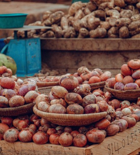 pexels-kaypics-27928644