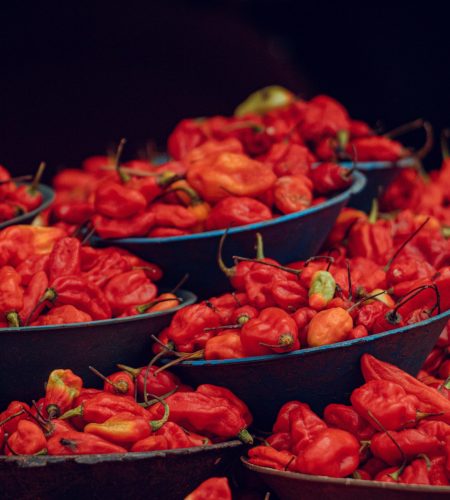 pexels-kaypics-27950723